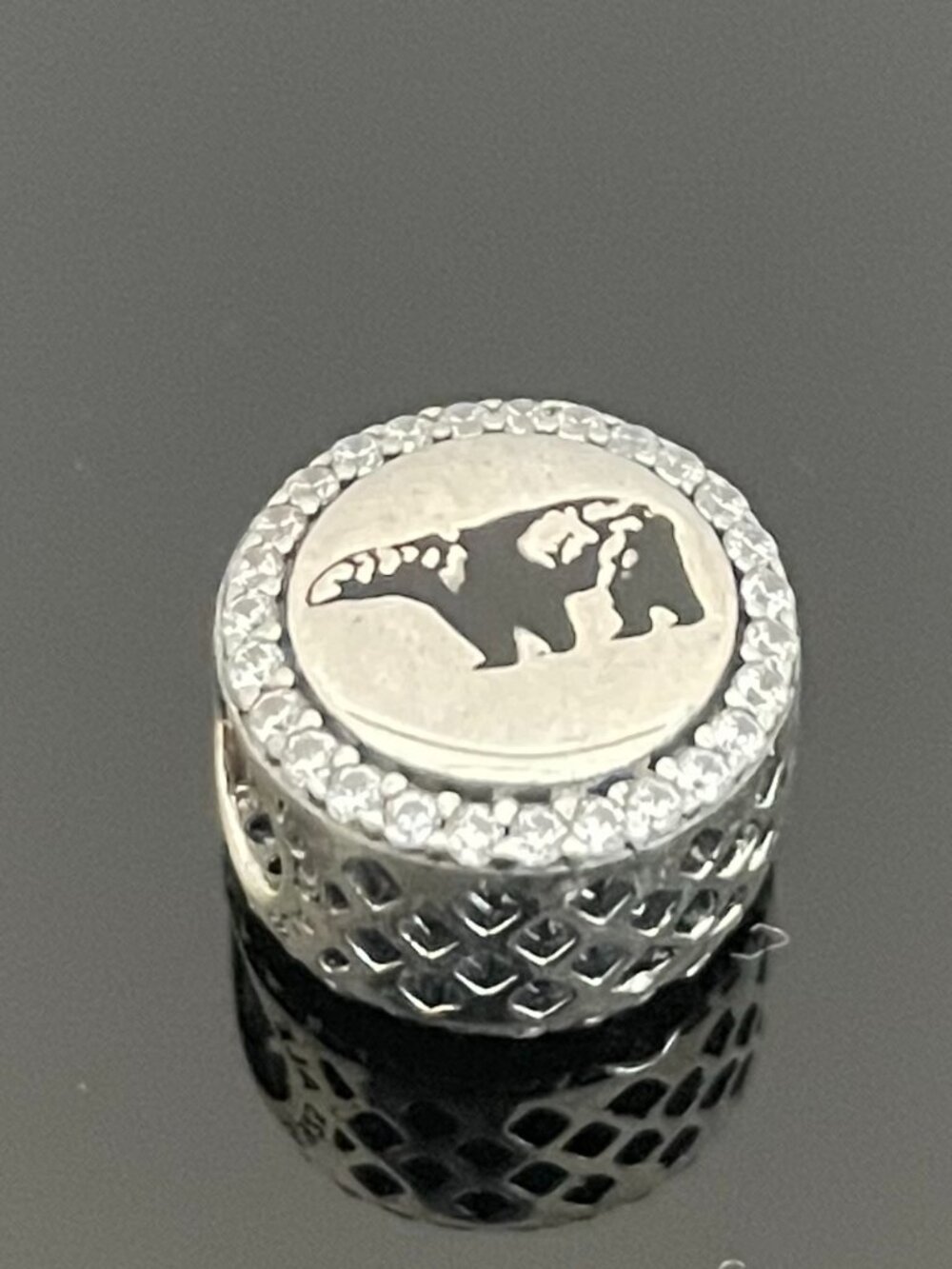 Authentic Pandora Banff Exclusive Charm